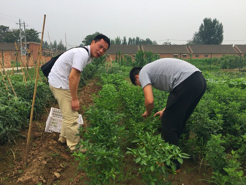 好利來郭總喊您來摘菜啦！綠色無公害，放心！